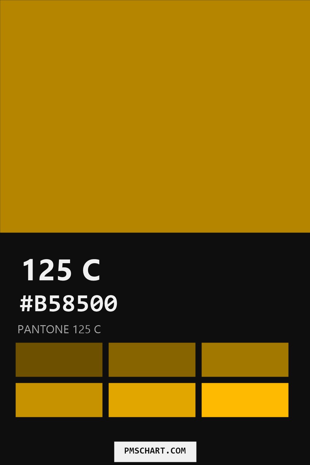 Pantone 125 C color reference card (HEX #B58500) with six nearest Pantone matches