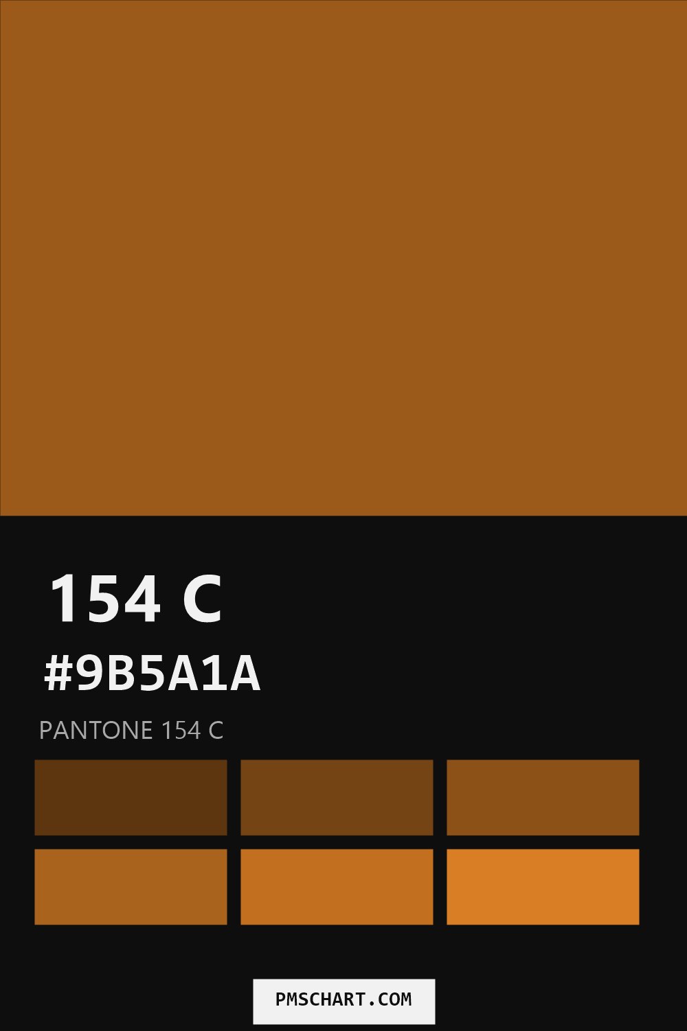 Pantone 154 C color reference card (HEX #9B5A1A) with six nearest Pantone matches