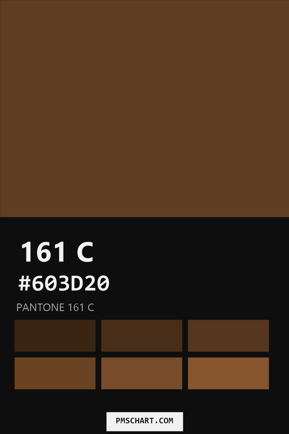 Pantone 161 C color reference card (HEX #603D20) with six nearest Pantone matches