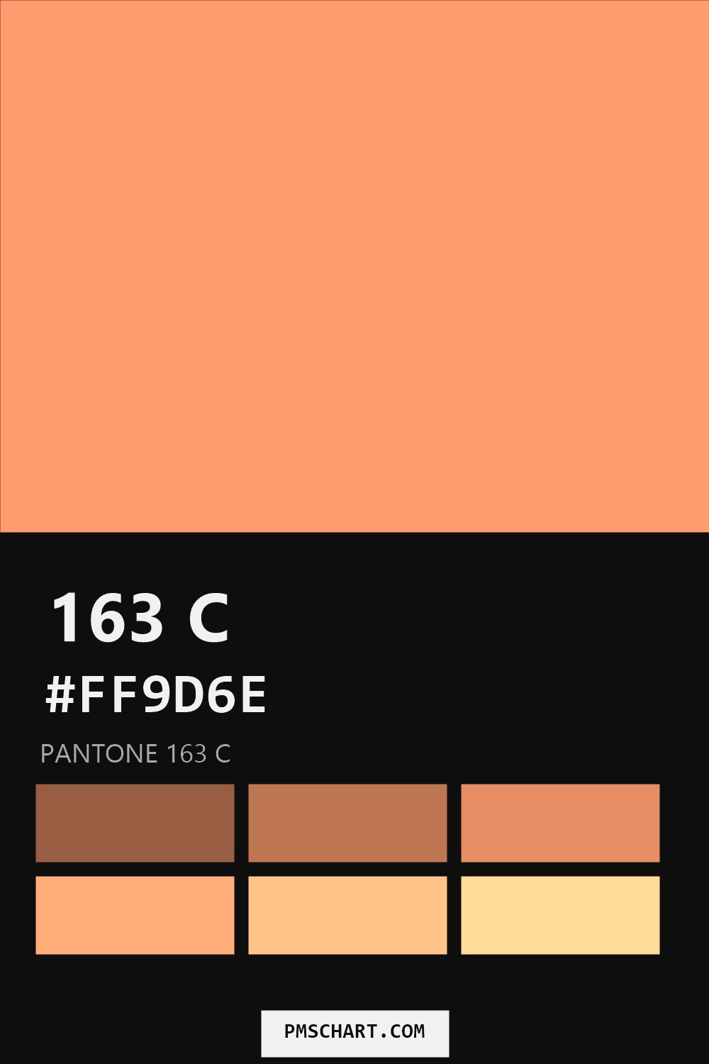 Pantone 163 C color reference card (HEX #FF9D6E) with six nearest Pantone matches