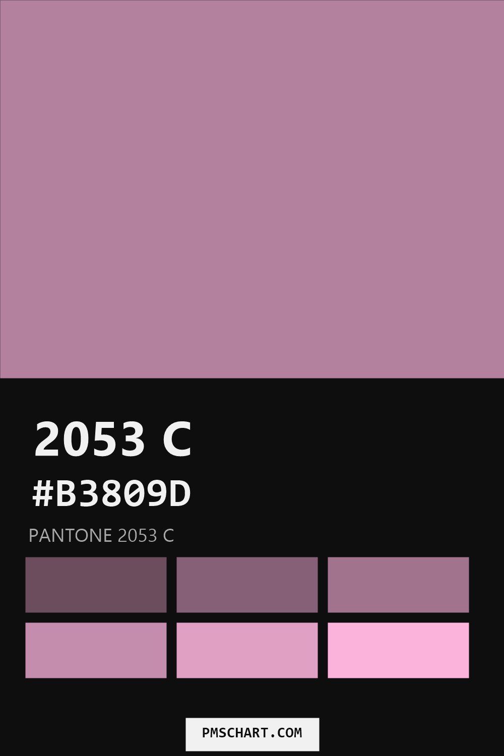 Pantone 2053 C color reference card (HEX #B3809D) with six nearest Pantone matches