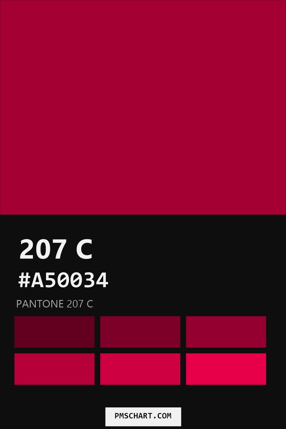 Pantone 207 C color reference card (HEX #A50034) with six nearest Pantone matches