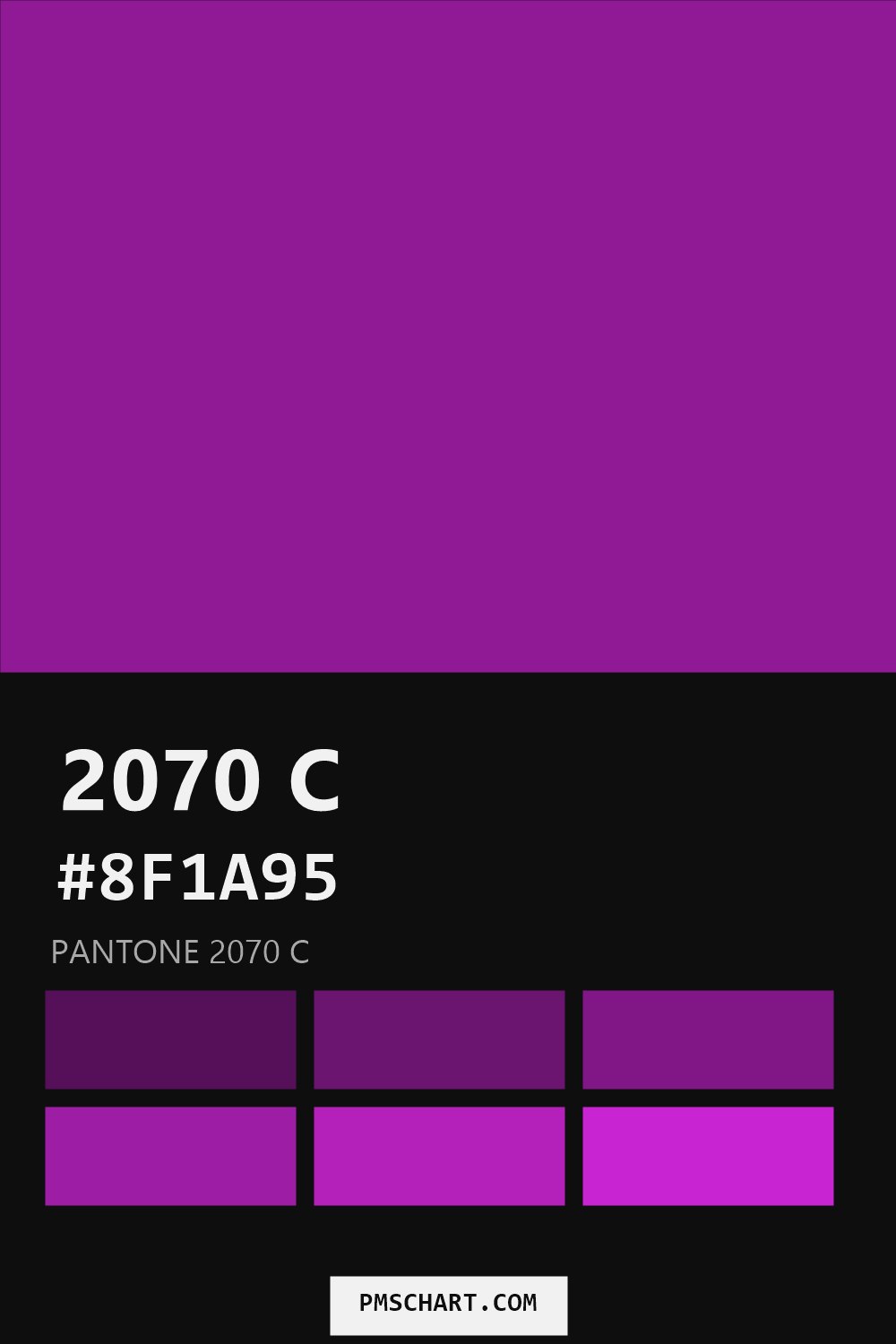 Pantone 2070 C color reference card (HEX #8F1A95) with six nearest Pantone matches