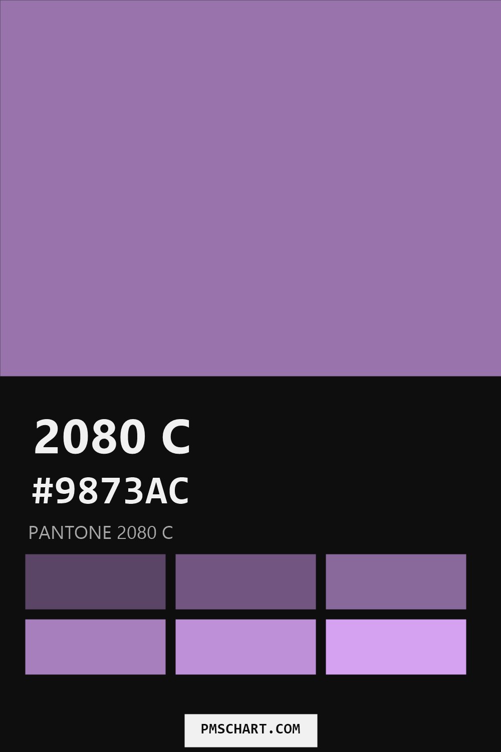 Pantone 2080 C color reference card (HEX #9873AC) with six nearest Pantone matches