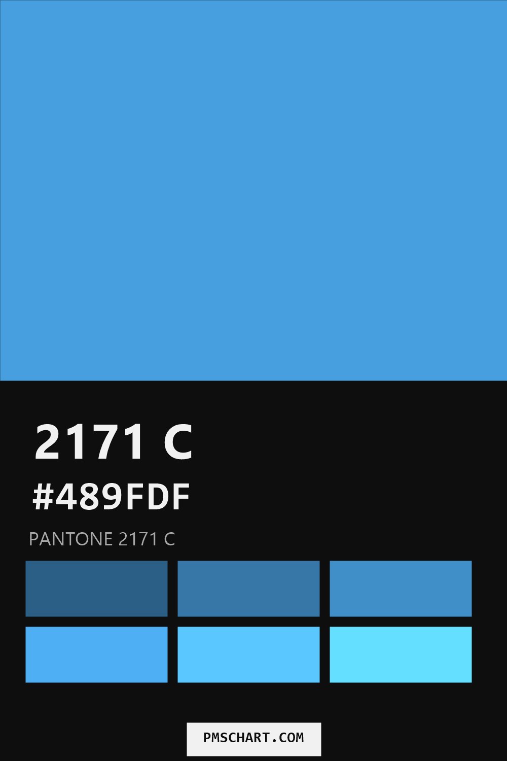 Pantone 2171 C color reference card (HEX #489FDF) with six nearest Pantone matches