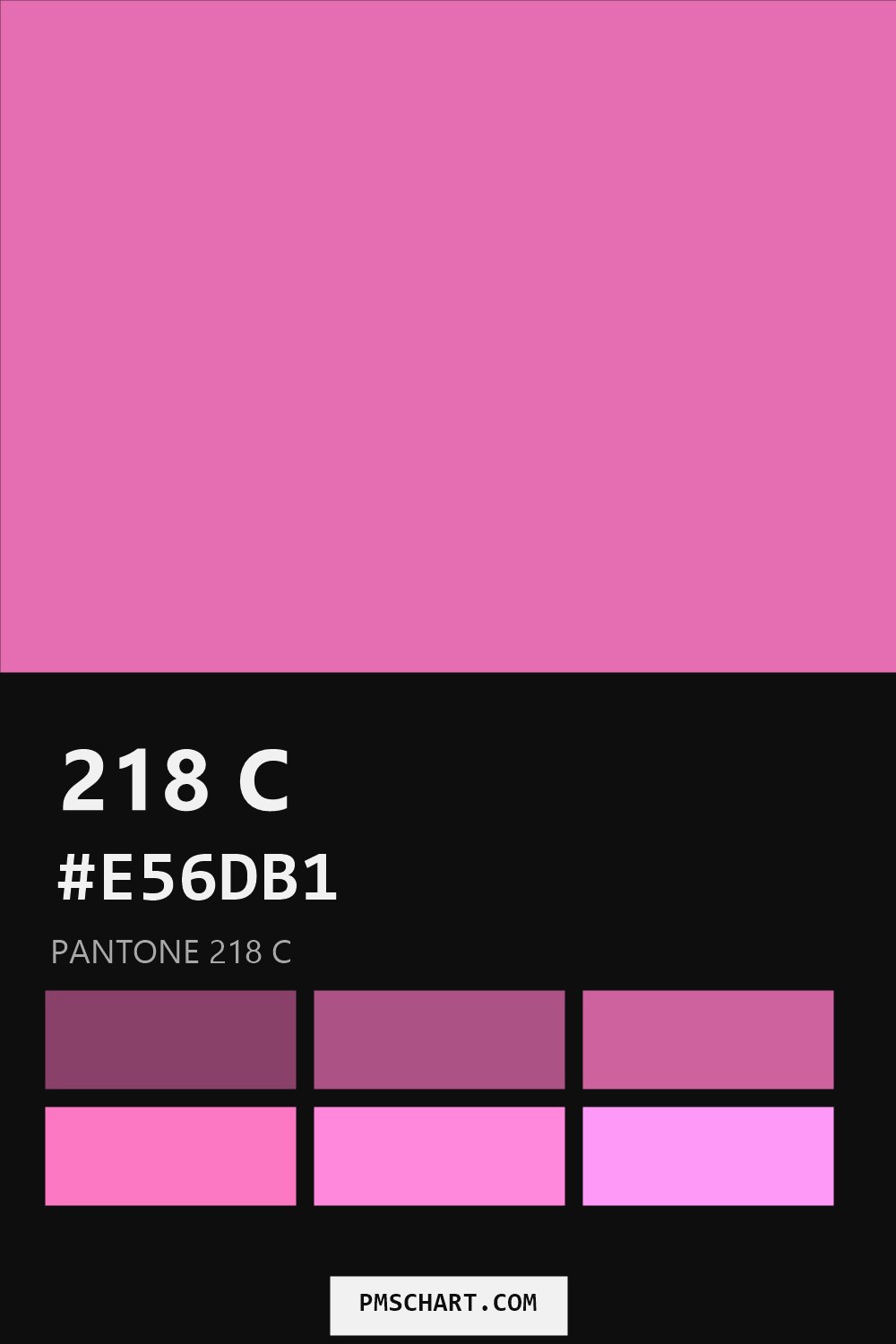 Pantone 218 C color reference card (HEX #E56DB1) with six nearest Pantone matches