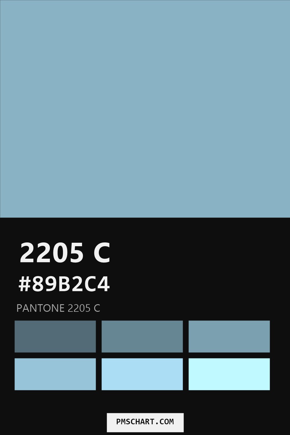 Pantone 2205 C color reference card (HEX #89B2C4) with six nearest Pantone matches