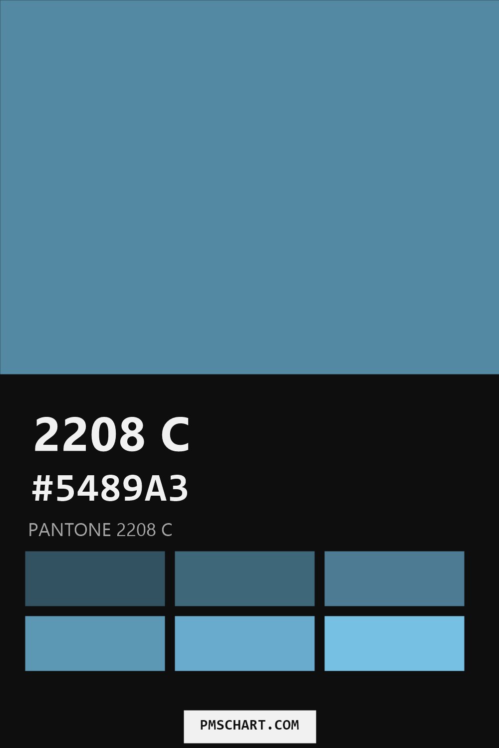 Pantone 2208 C color reference card (HEX #5489A3) with six nearest Pantone matches