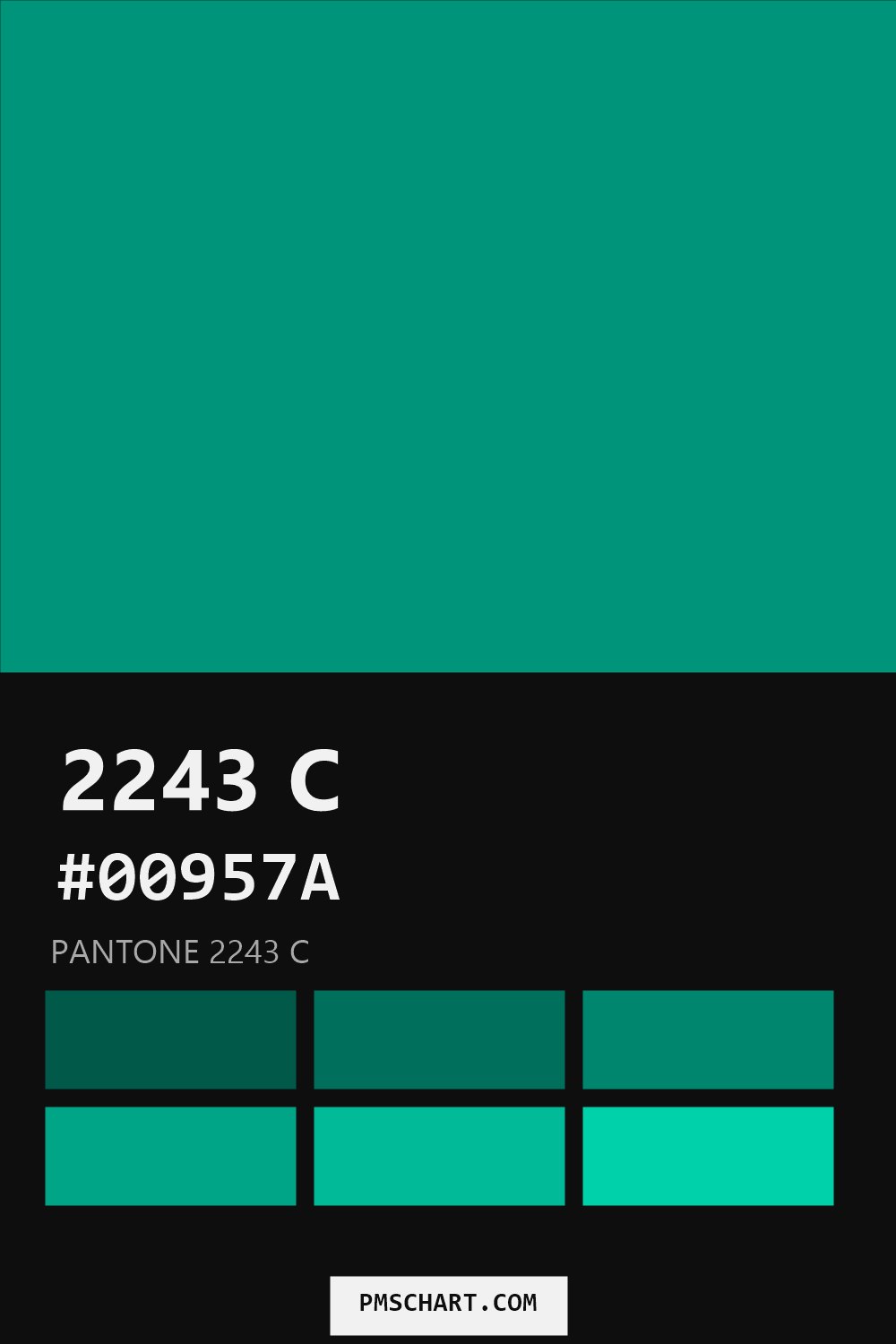Pantone 2243 C color reference card (HEX #00957A) with six nearest Pantone matches