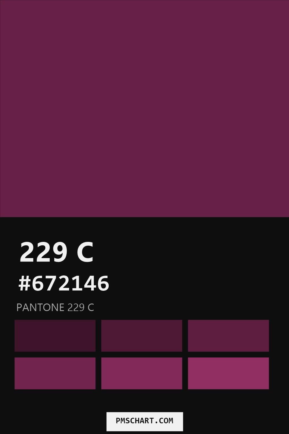 Pantone 229 C color reference card (HEX #672146) with six nearest Pantone matches