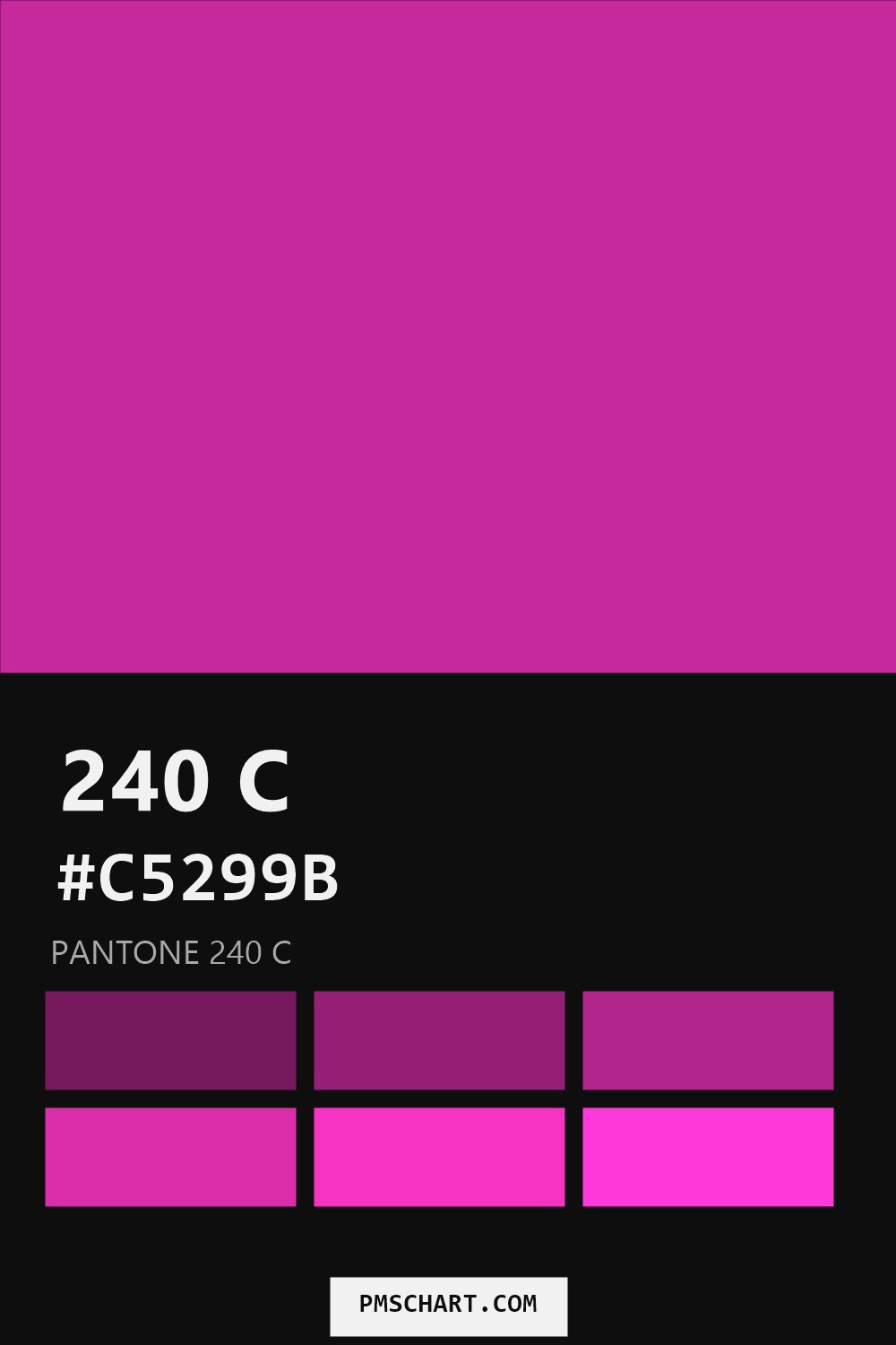 Pantone 240 C color reference card (HEX #C5299B) with six nearest Pantone matches