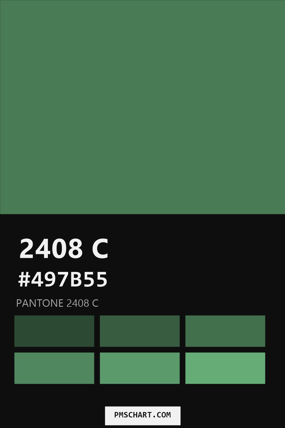 Pantone 2408 C color reference card (HEX #497B55) with six nearest Pantone matches