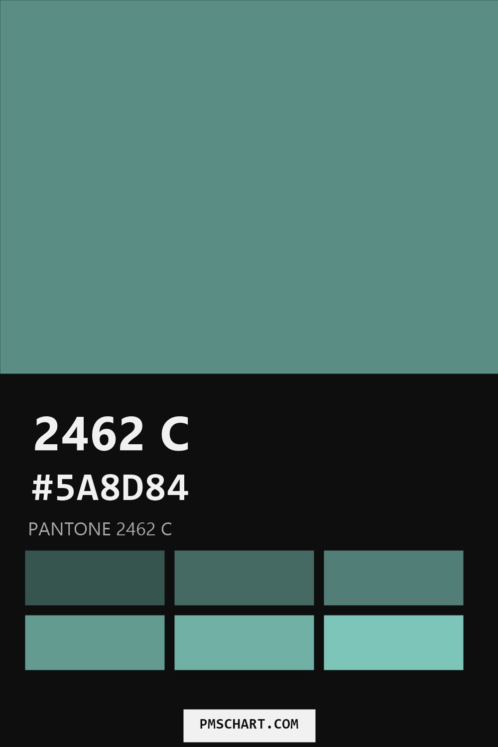 Pantone 2462 C color reference card (HEX #5A8D84) with six nearest Pantone matches