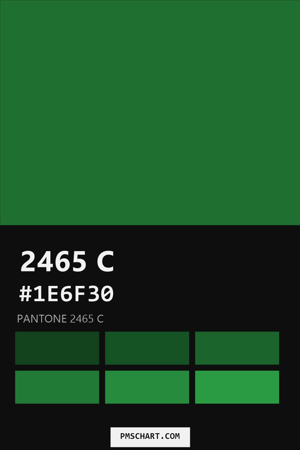 Pantone 2465 C color reference card (HEX #1E6F30) with six nearest Pantone matches