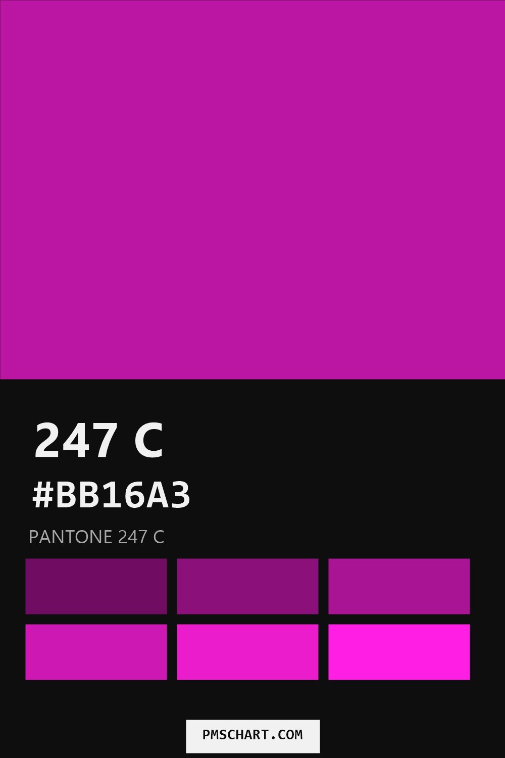 Pantone 247 C color reference card (HEX #BB16A3) with six nearest Pantone matches