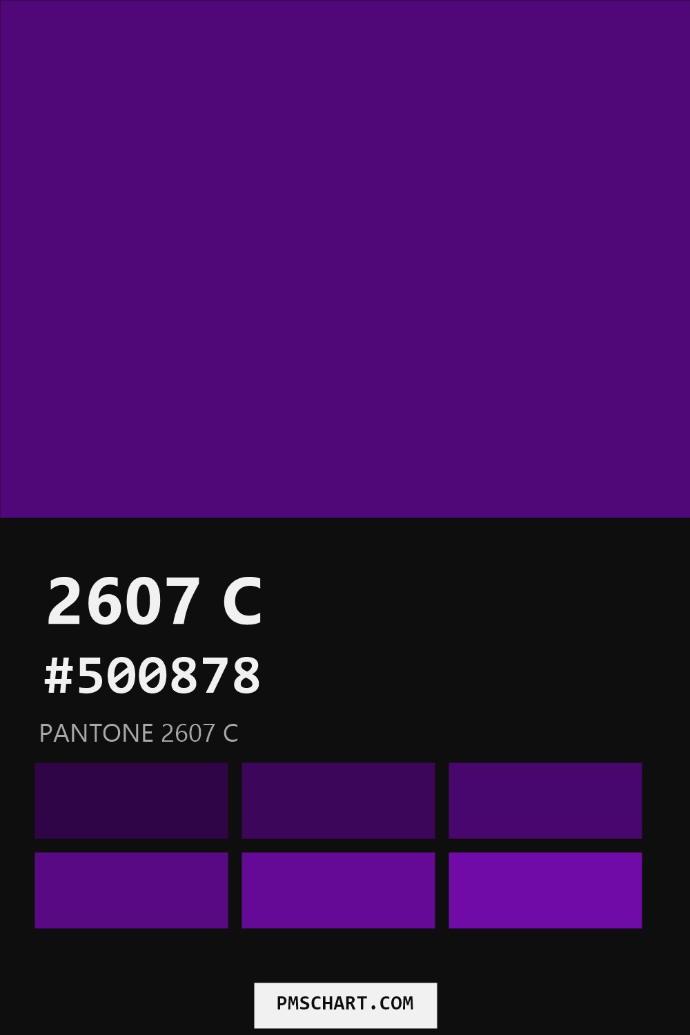 Pantone 2607 C color reference card (HEX #500878) with six nearest Pantone matches