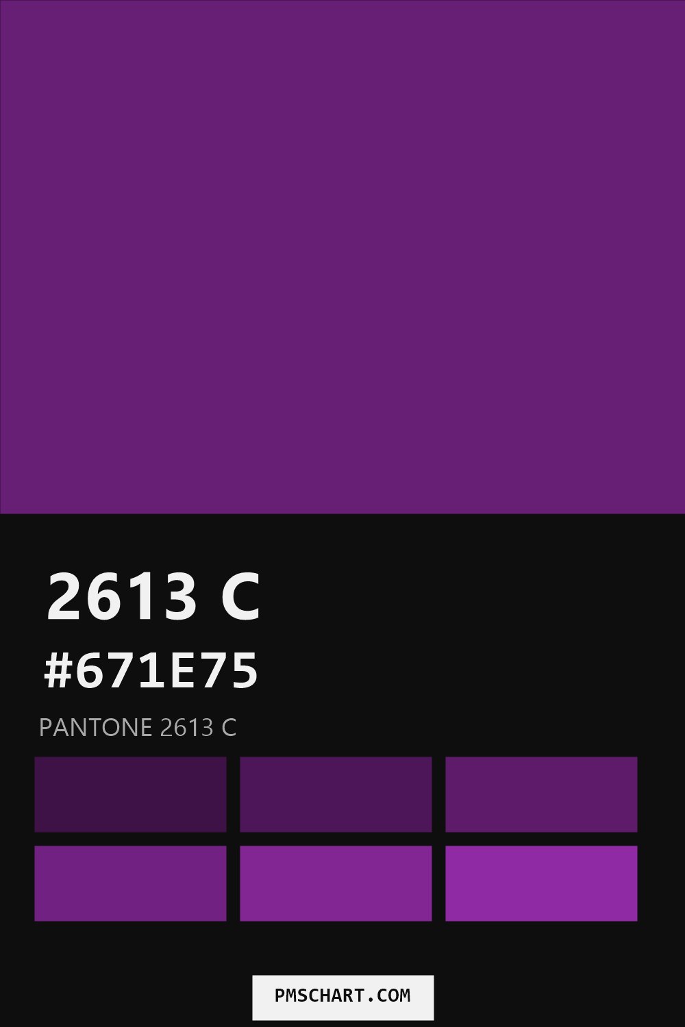 Pantone 2613 C color reference card (HEX #671E75) with six nearest Pantone matches