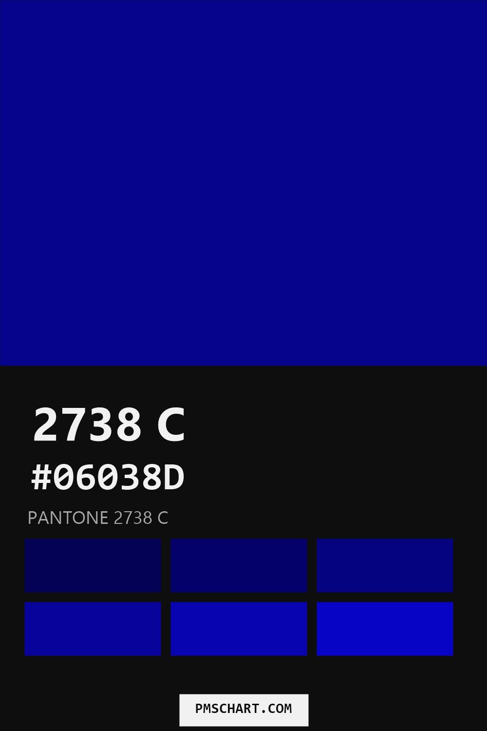 Pantone 2738 C color reference card (HEX #06038D) with six nearest Pantone matches