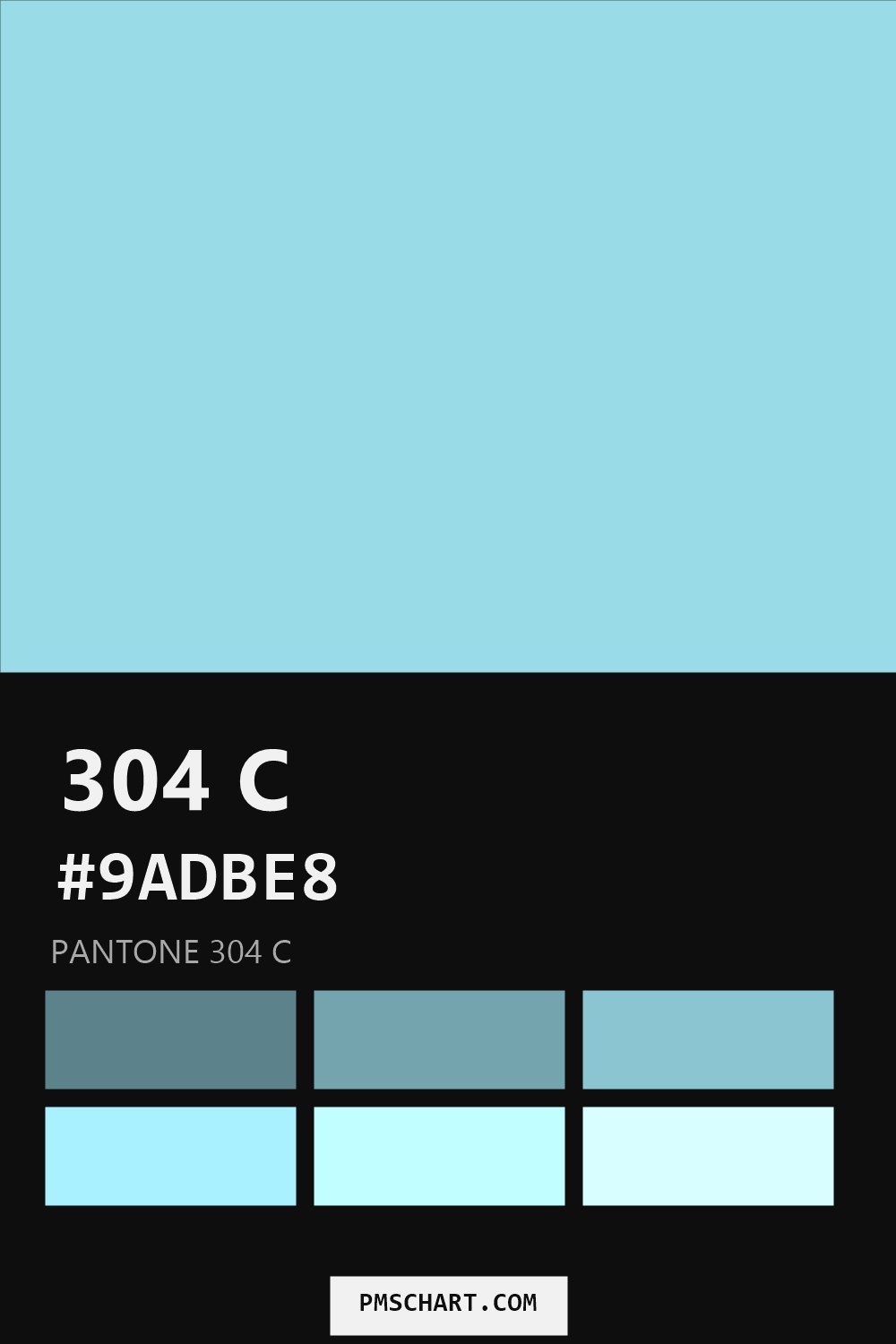 Pantone 304 C color reference card (HEX #9ADBE8) with six nearest Pantone matches