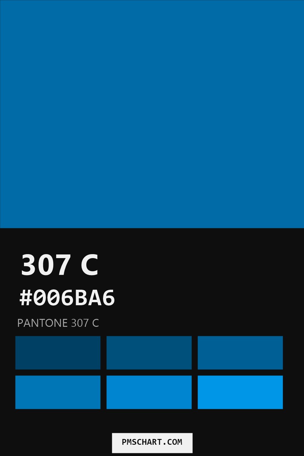 Pantone 307 C color reference card (HEX #006BA6) with six nearest Pantone matches