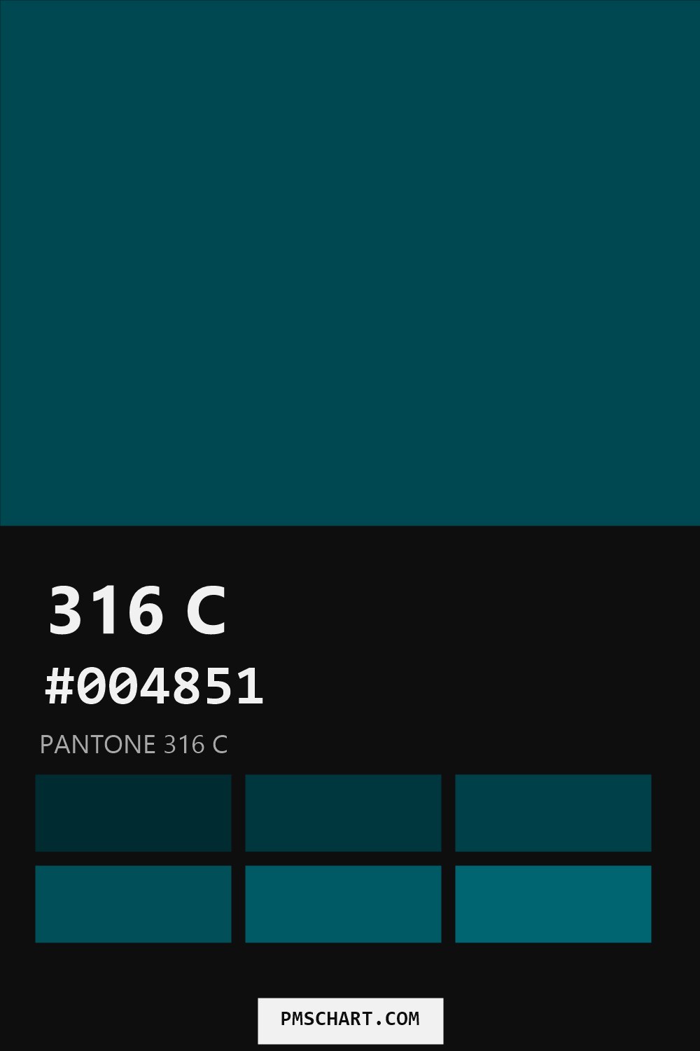 Pantone 316 C color reference card (HEX #004851) with six nearest Pantone matches