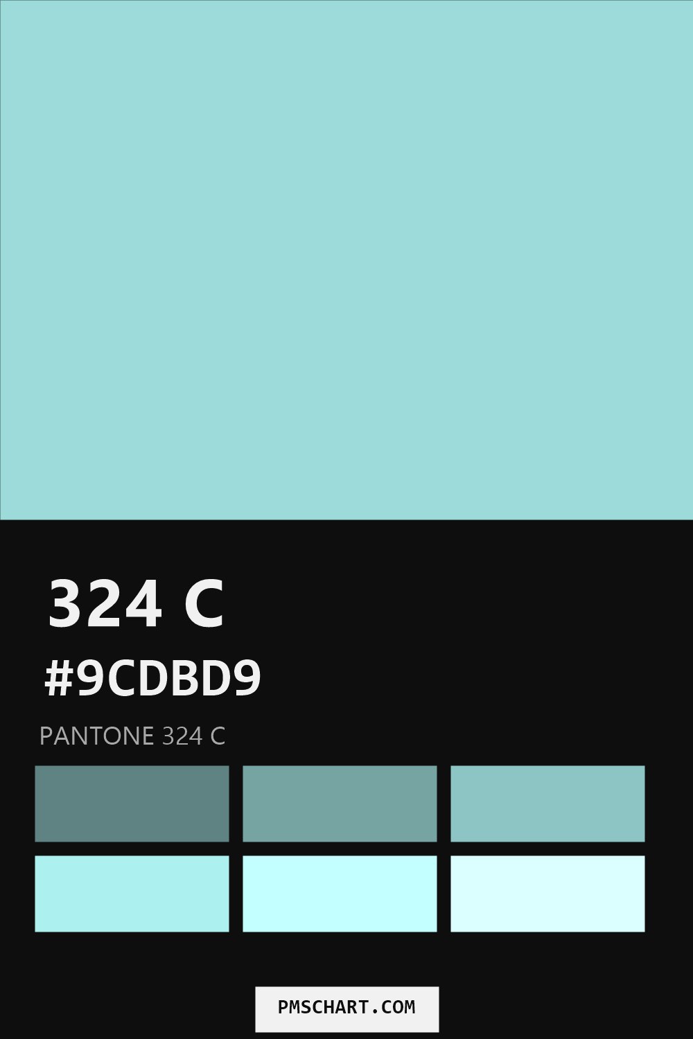 Pantone 324 C color reference card (HEX #9CDBD9) with six nearest Pantone matches