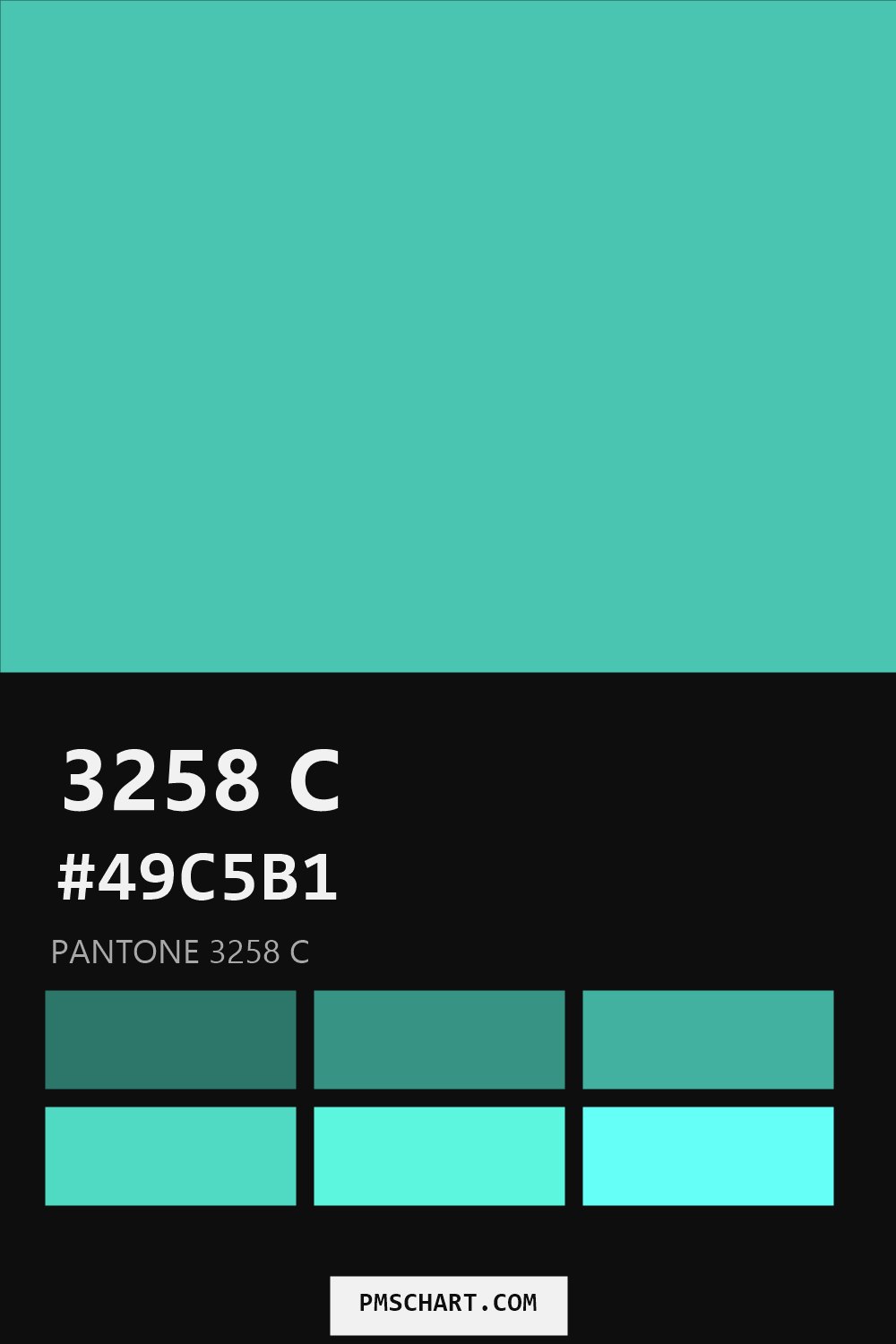 Pantone 3258 C color reference card (HEX #49C5B1) with six nearest Pantone matches