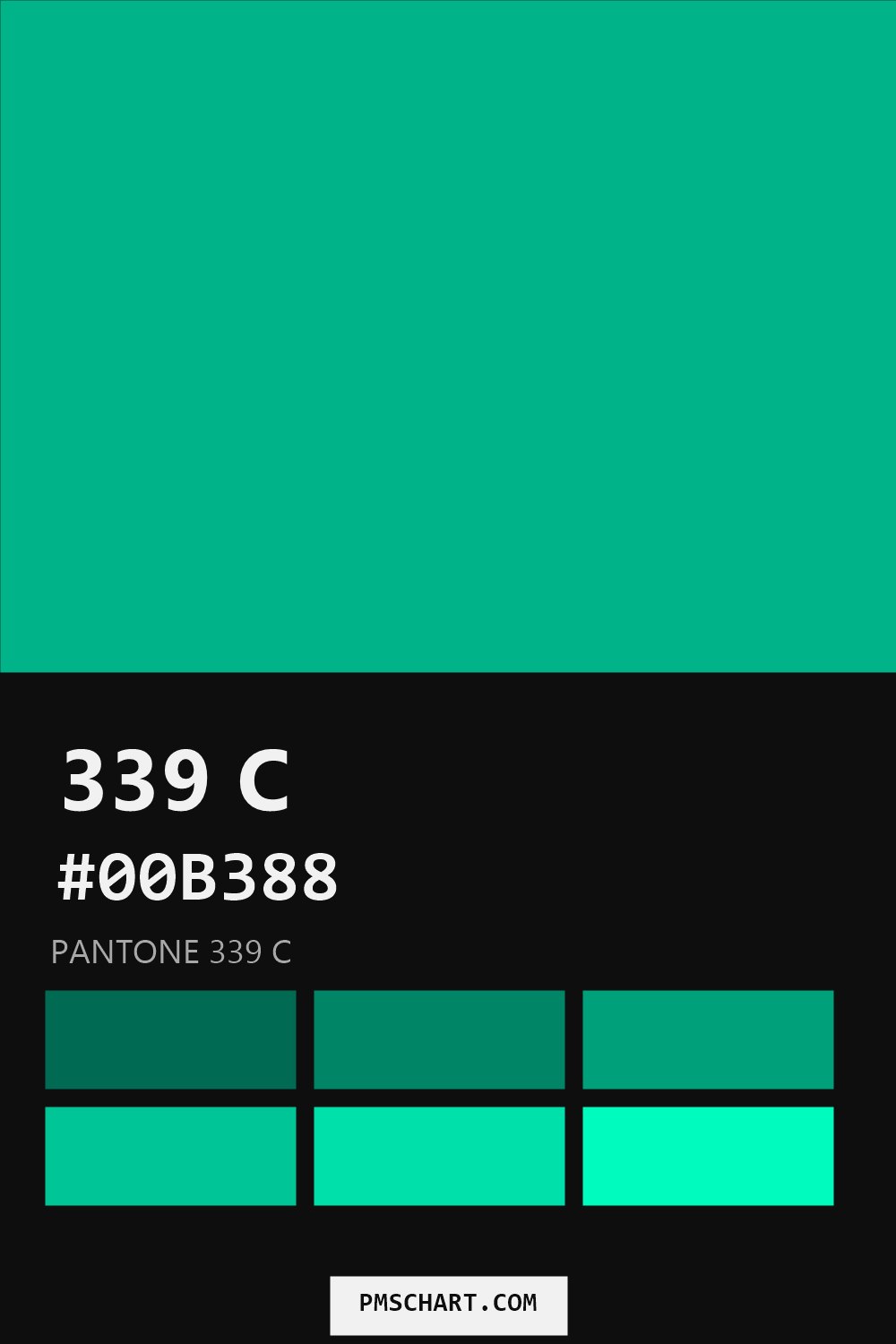 Pantone 339 C color reference card (HEX #00B388) with six nearest Pantone matches