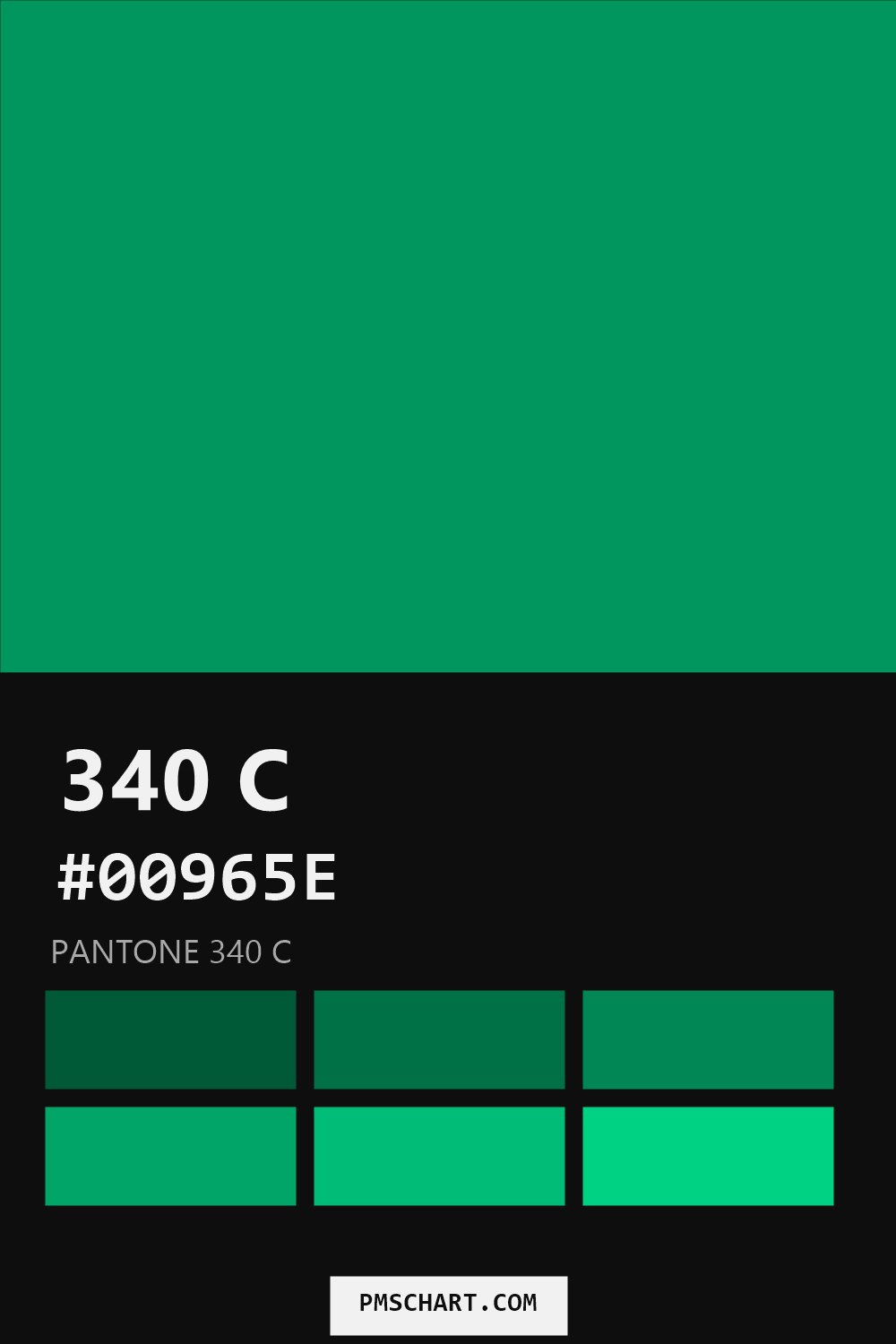 Pantone 340 C color reference card (HEX #00965E) with six nearest Pantone matches