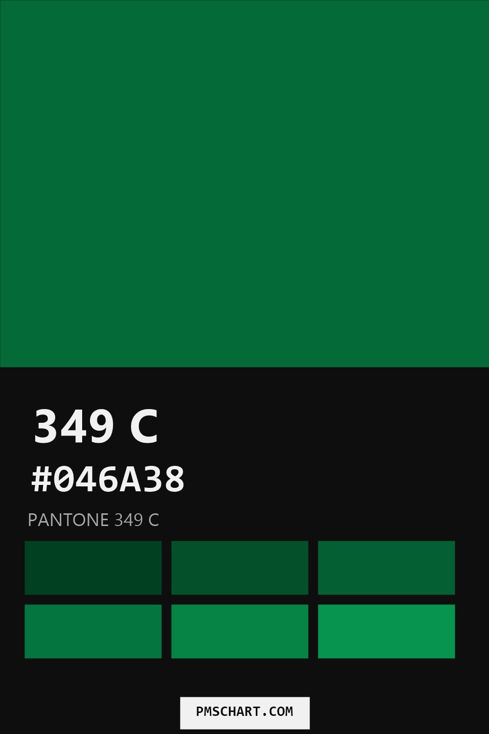 Pantone 349 C color reference card (HEX #046A38) with six nearest Pantone matches