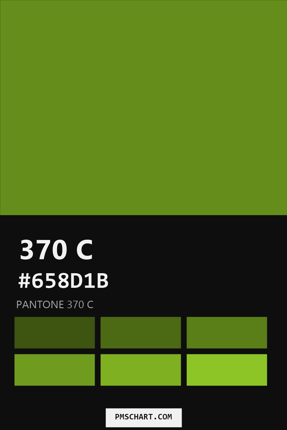 Pantone 370 C color reference card (HEX #658D1B) with six nearest Pantone matches