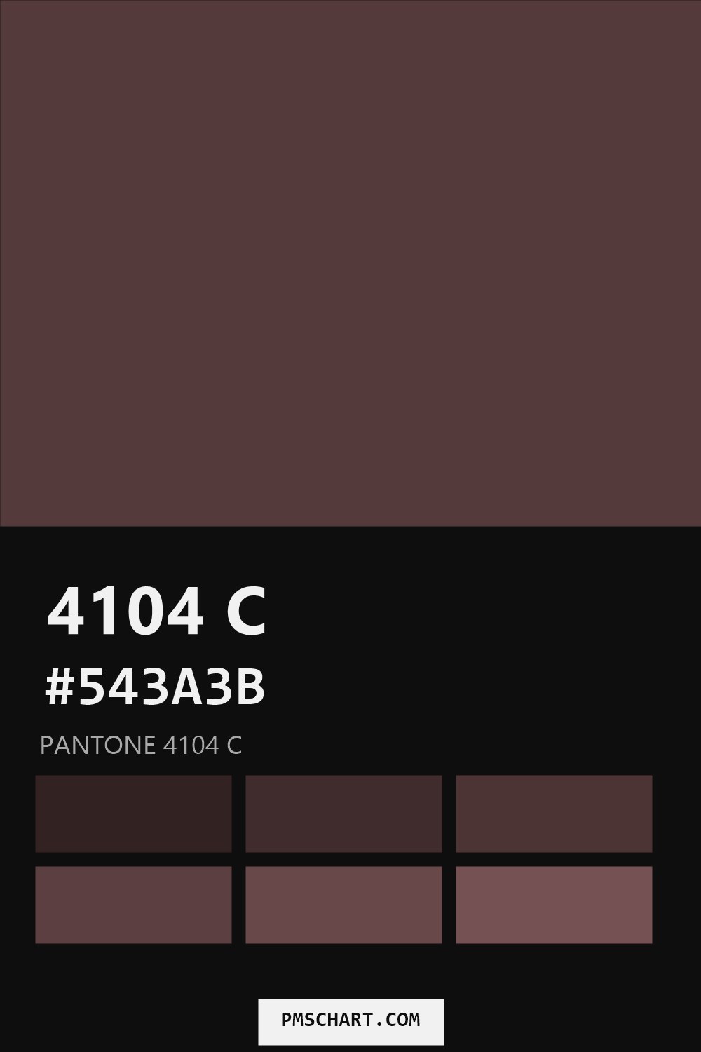 Pantone 4104 C color reference card (HEX #543A3B) with six nearest Pantone matches