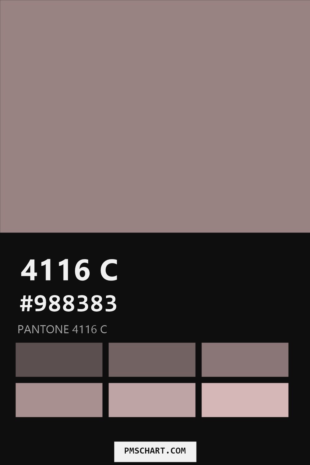Pantone 4116 C color reference card (HEX #988383) with six nearest Pantone matches