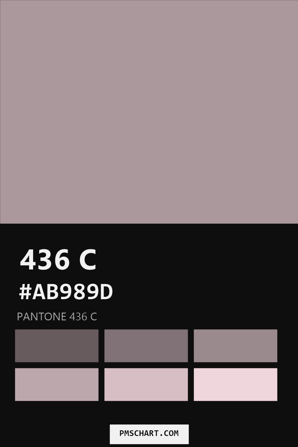 Pantone 436 C color reference card (HEX #AB989D) with six nearest Pantone matches