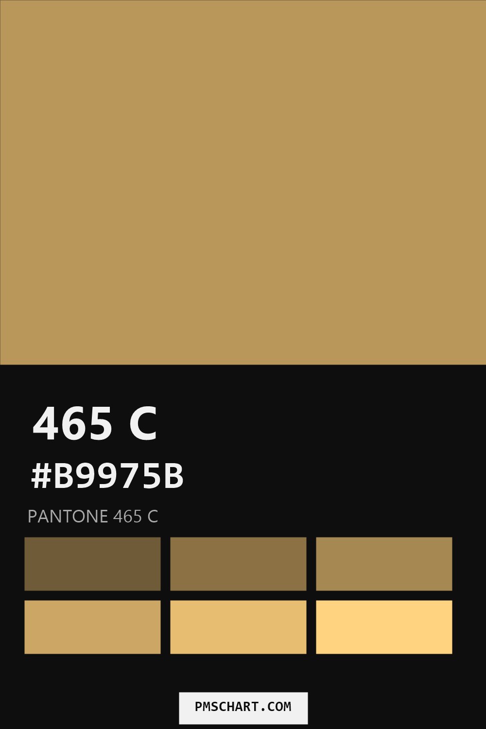 Pantone 465 C color reference card (HEX #B9975B) with six nearest Pantone matches
