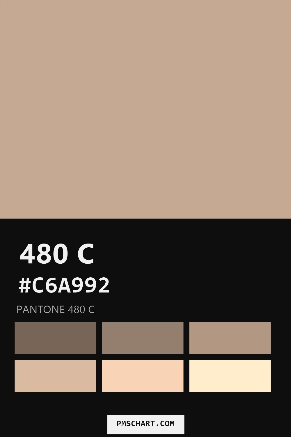 Pantone 480 C color reference card (HEX #C6A992) with six nearest Pantone matches