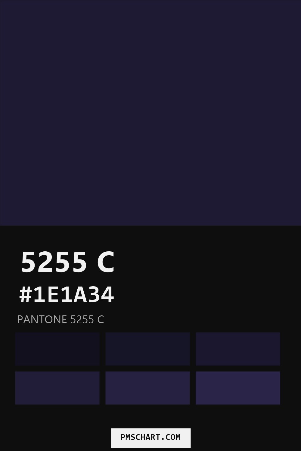 Pantone 5255 C color reference card (HEX #1E1A34) with six nearest Pantone matches