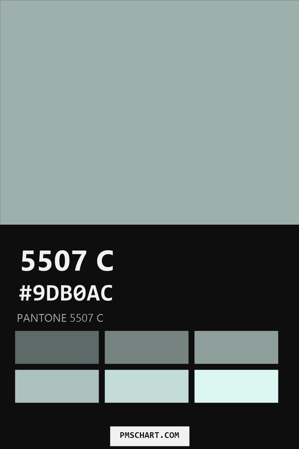 Pantone 5507 C color reference card (HEX #9DB0AC) with six nearest Pantone matches