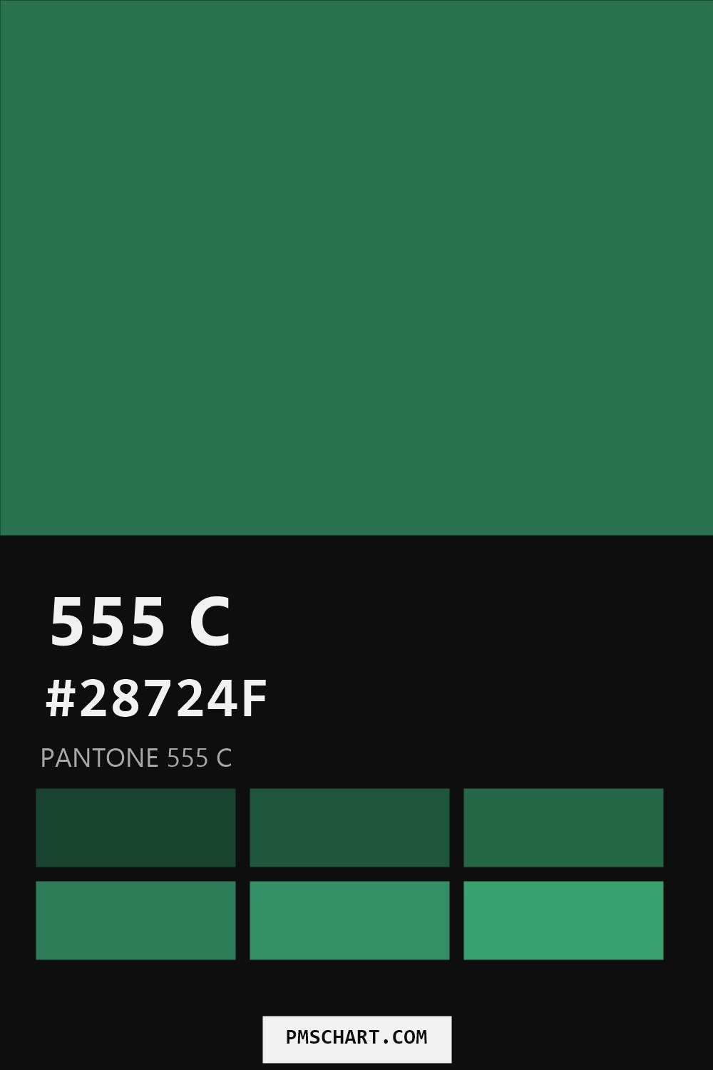 Pantone 555 C color reference card (HEX #28724F) with six nearest Pantone matches