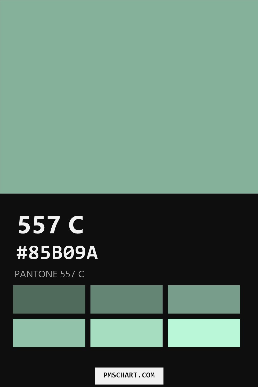 Pantone 557 C color reference card (HEX #85B09A) with six nearest Pantone matches