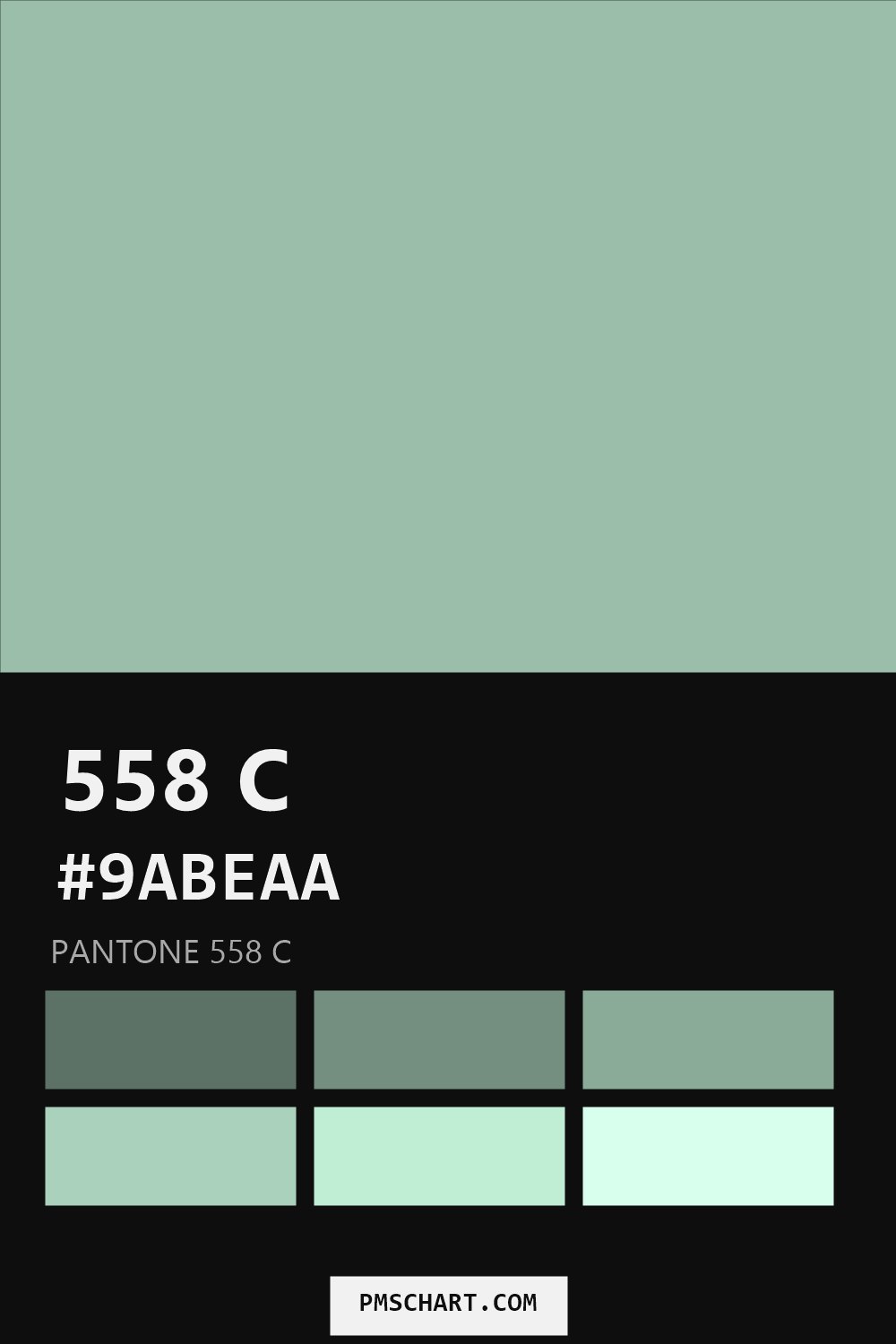 Pantone 558 C color reference card (HEX #9ABEAA) with six nearest Pantone matches