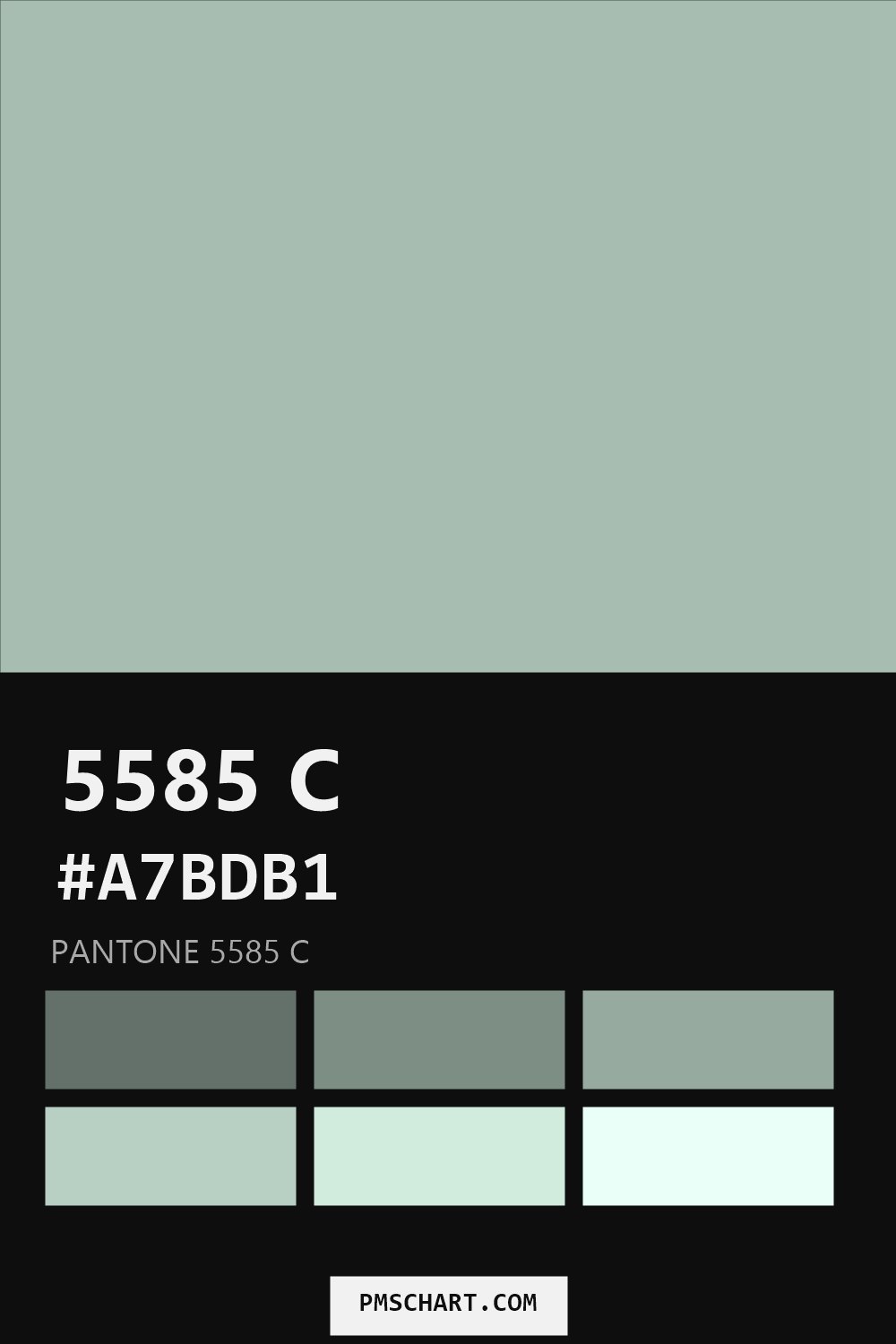 Pantone 5585 C color reference card (HEX #A7BDB1) with six nearest Pantone matches