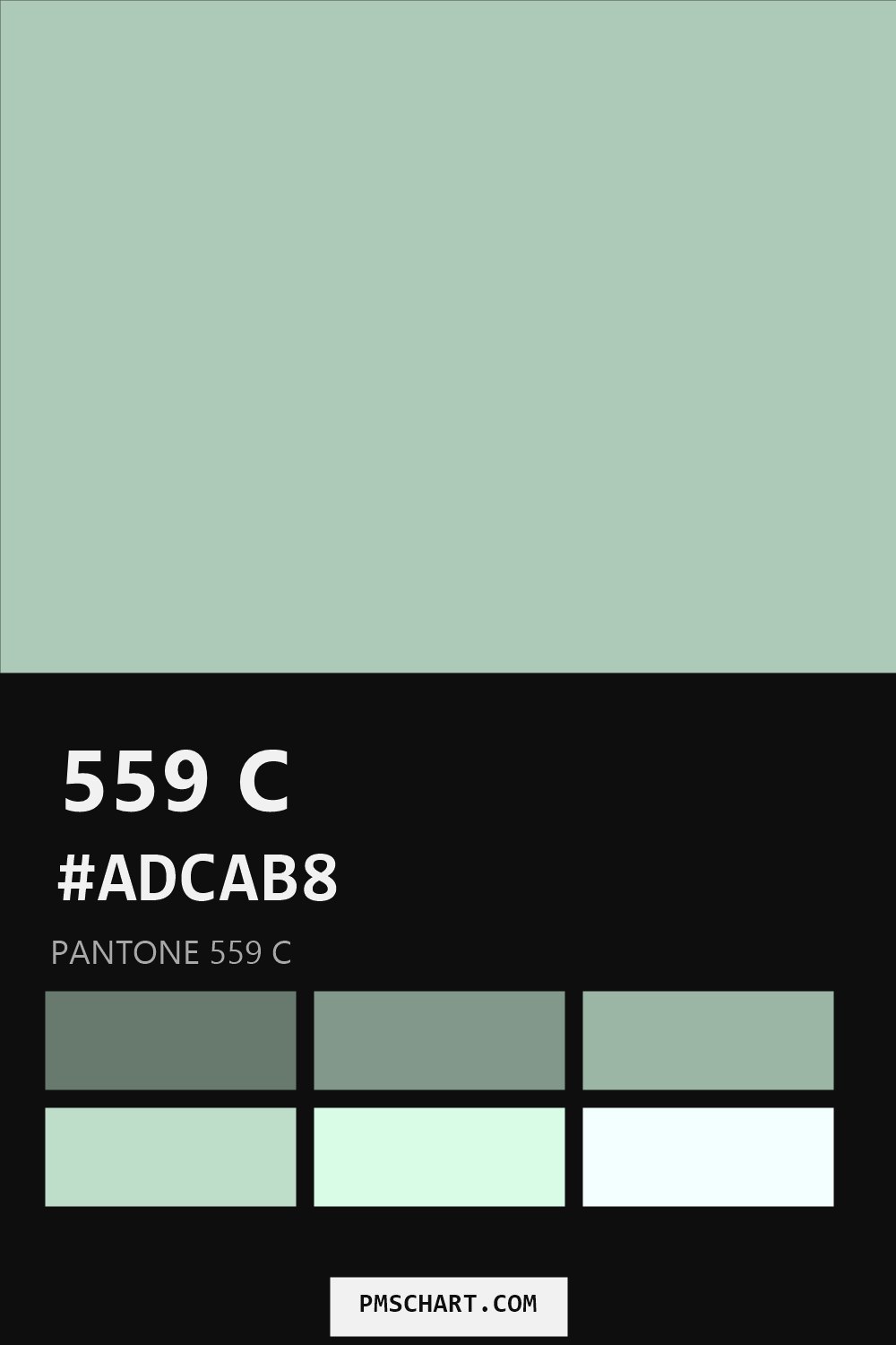Pantone 559 C color reference card (HEX #ADCAB8) with six nearest Pantone matches