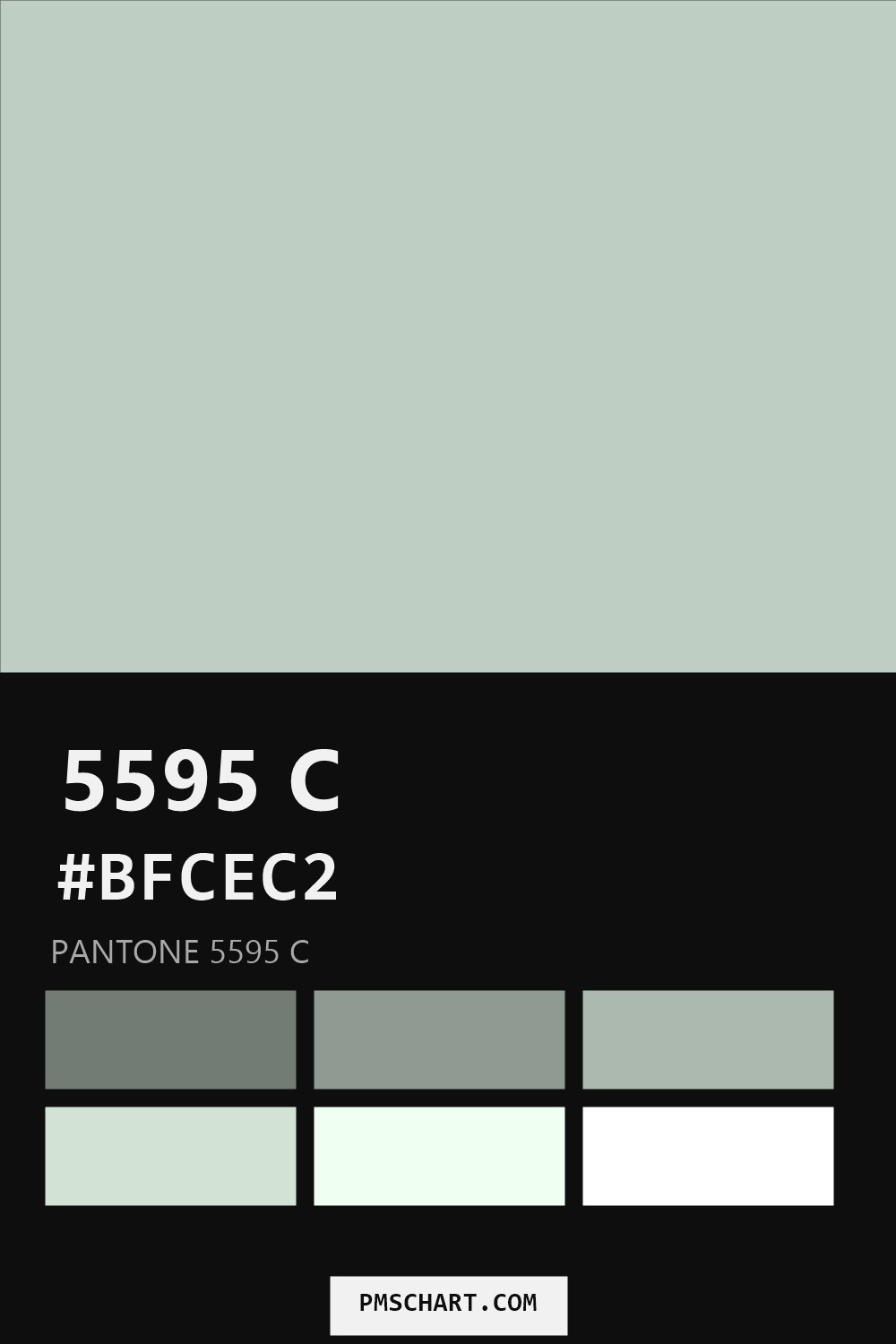 Pantone 5595 C color reference card (HEX #BFCEC2) with six nearest Pantone matches