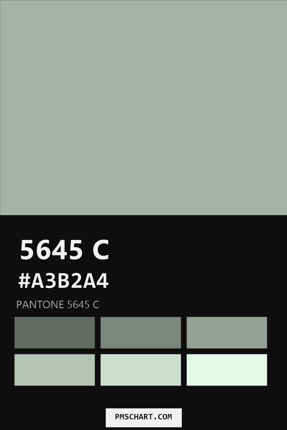 Pantone 5645 C color reference card (HEX #A3B2A4) with six nearest Pantone matches