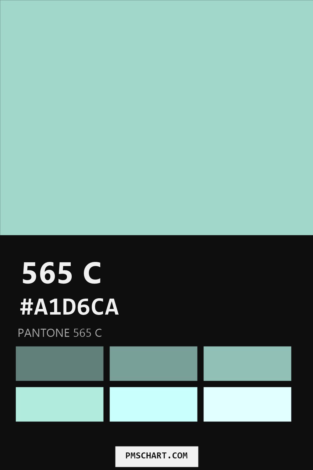 Pantone 565 C color reference card (HEX #A1D6CA) with six nearest Pantone matches