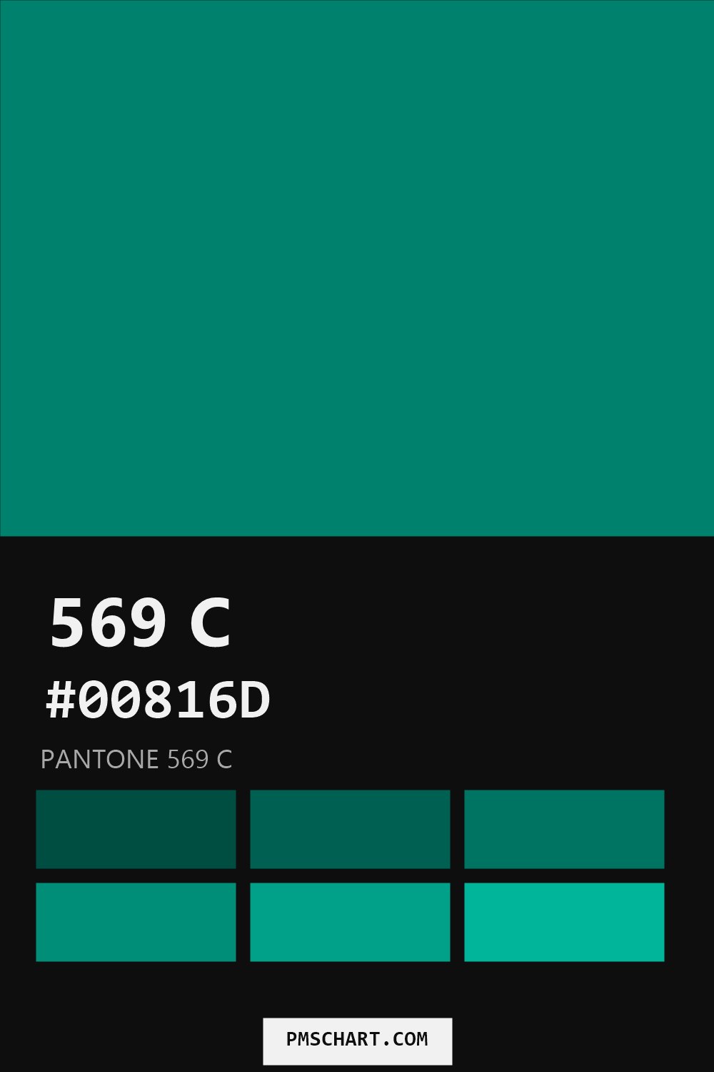 Pantone 569 C color reference card (HEX #00816D) with six nearest Pantone matches