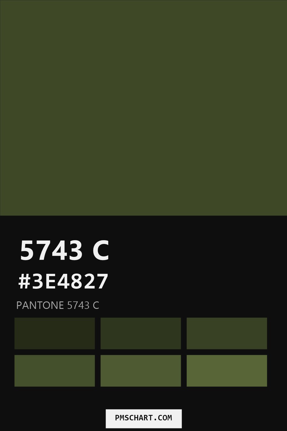 Pantone 5743 C color reference card (HEX #3E4827) with six nearest Pantone matches