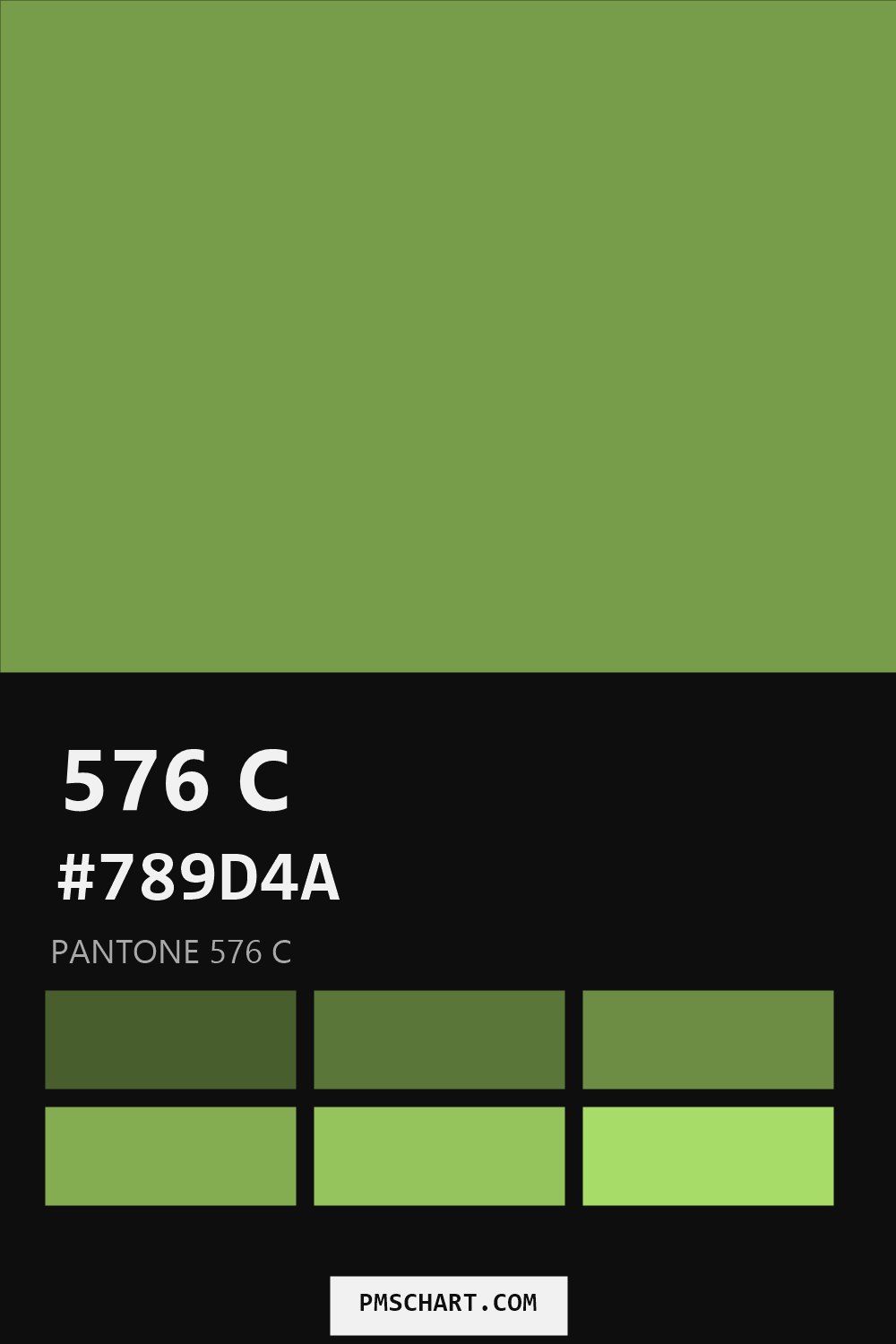 Pantone 576 C color reference card (HEX #789D4A) with six nearest Pantone matches