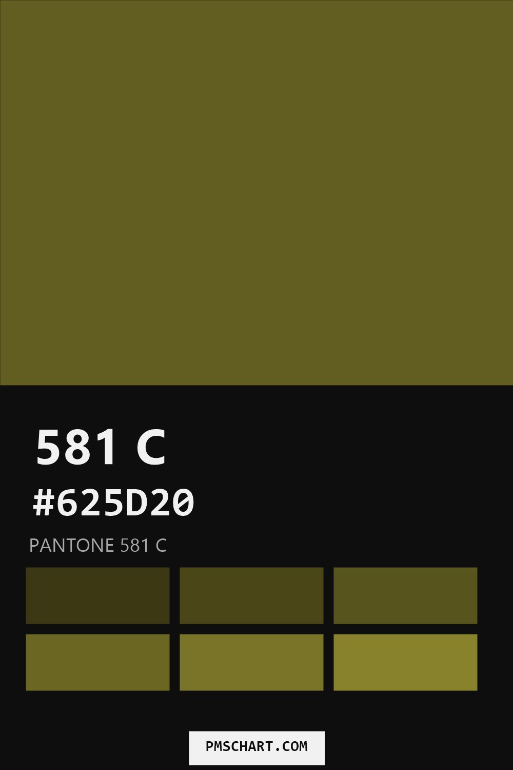 Pantone 581 C color reference card (HEX #625D20) with six nearest Pantone matches
